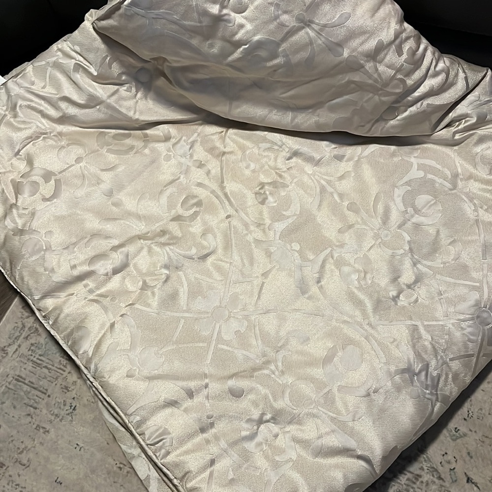 Comforter and 2 shams / pillow cases - Picture 1 of 8
